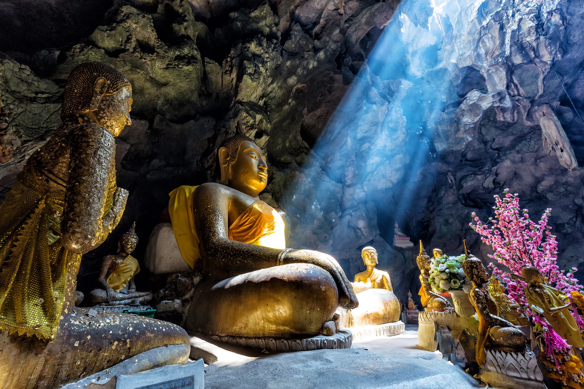  Discover Sri Lanka Tour